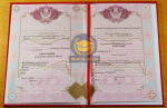 Бакалавр 2009 - 2025 с отличием