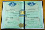 Бакалавр 2009 - 2025