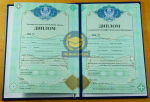 Техникум 2009-2025